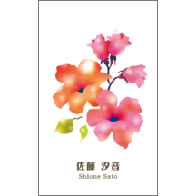 イラスト_花_18-8062